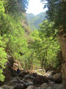 Agia Irini Gorge, Chania, Crete