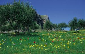 La Crète, au printemps